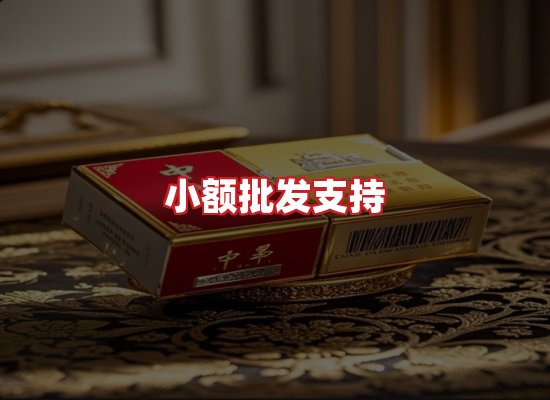 专业团队